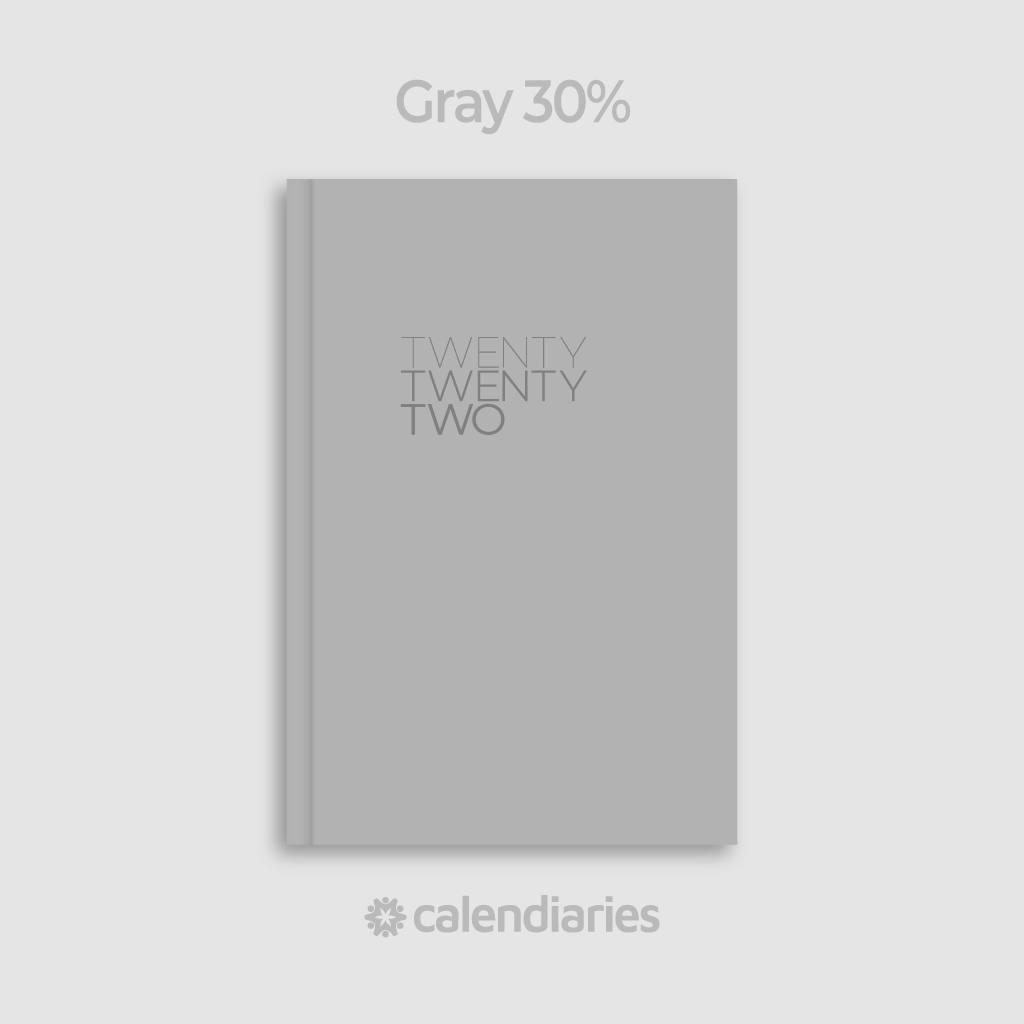 Grey 30 Cover / Twenty Twenty Two 2022 Calendar Diary